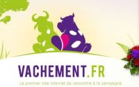 logo - vachement