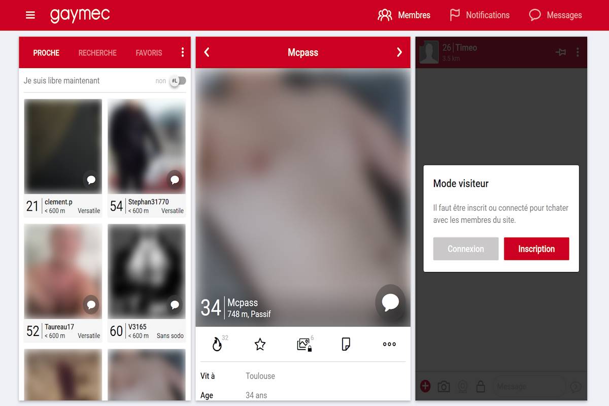 interface gay mec