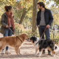 rencontre proprietaires chiens 2026